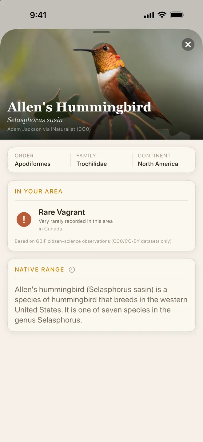 A species page from First Feather's field guide